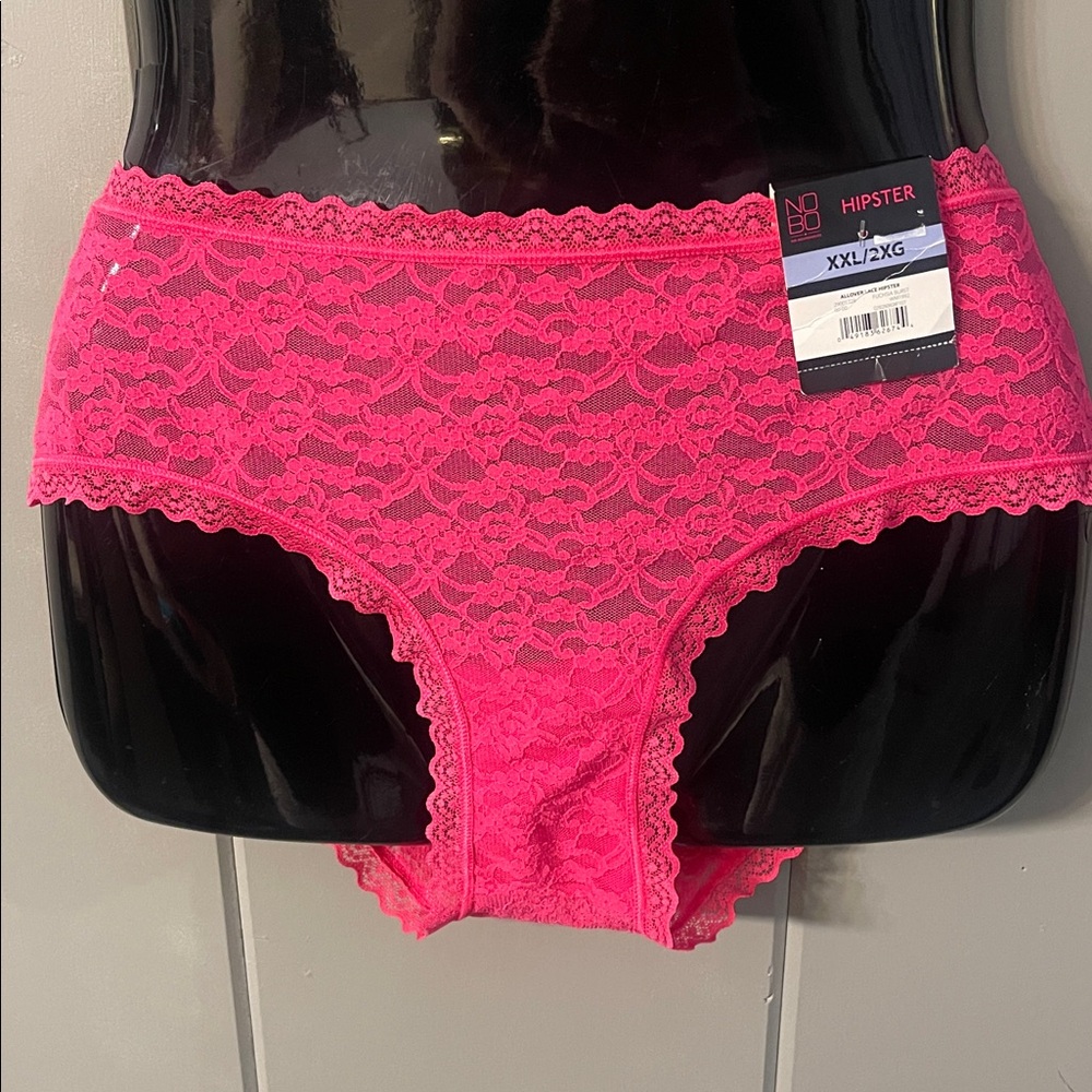 NWT No Boundaries Bikini Hipster Panty Sissy Pink Lace Whimsical Feminine XXL